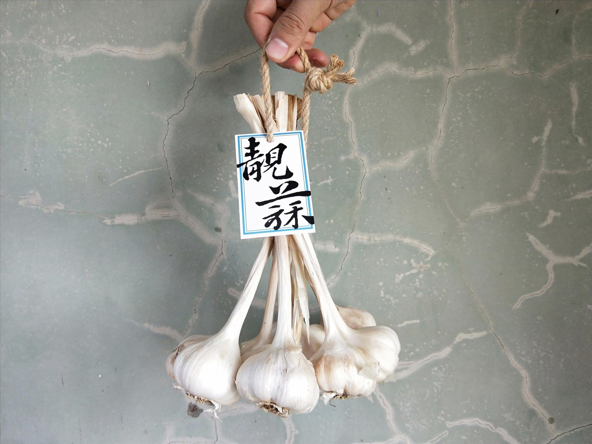 靓蒜