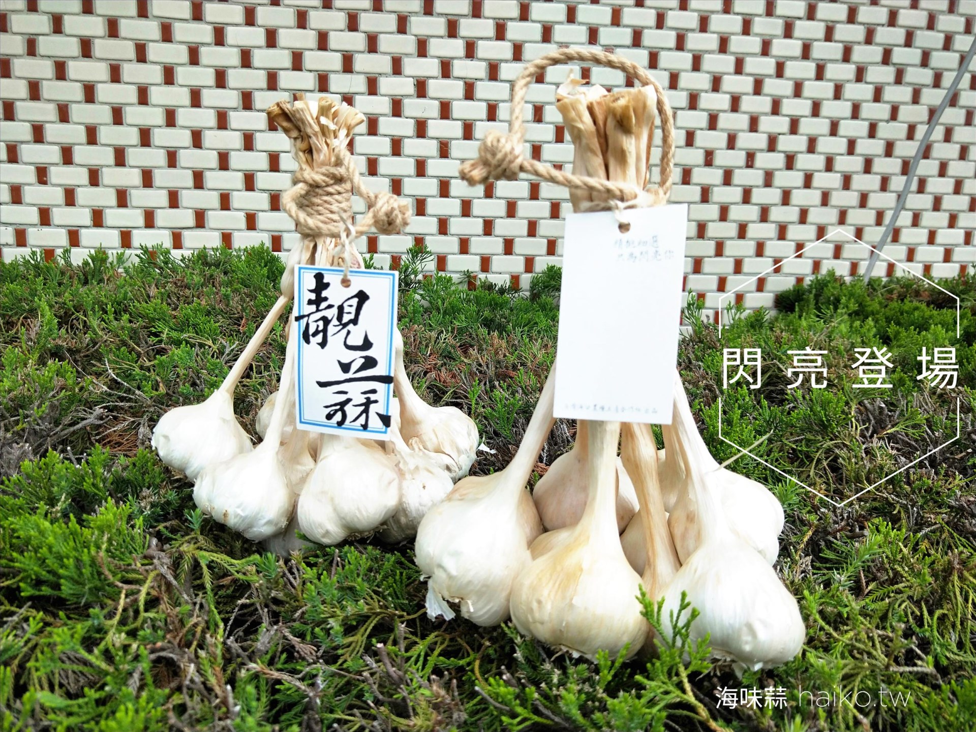 整束蒜頭