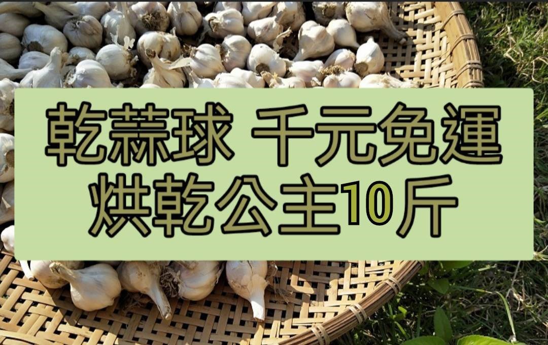 乾蒜球中顆