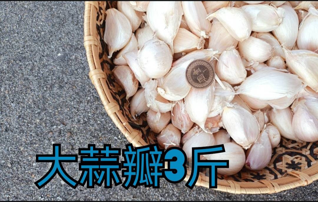 蒜瓣