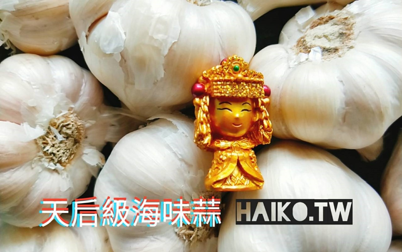 乾蒜球天后級