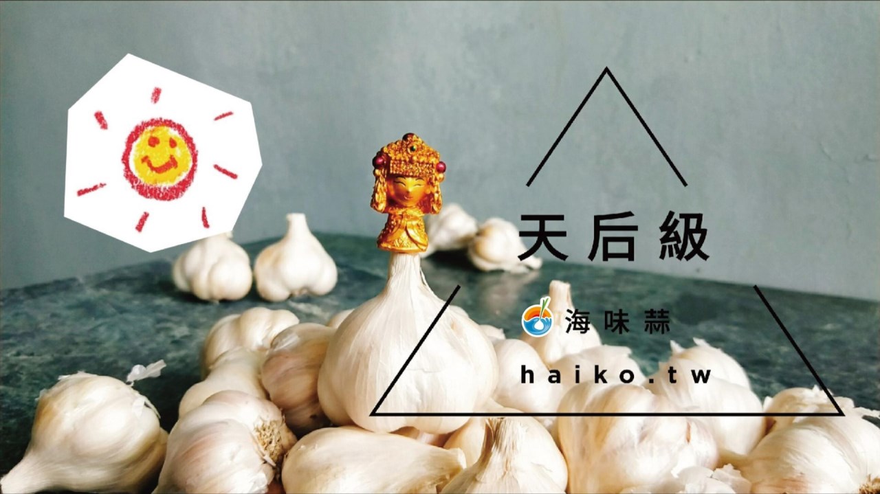乾蒜球天后級