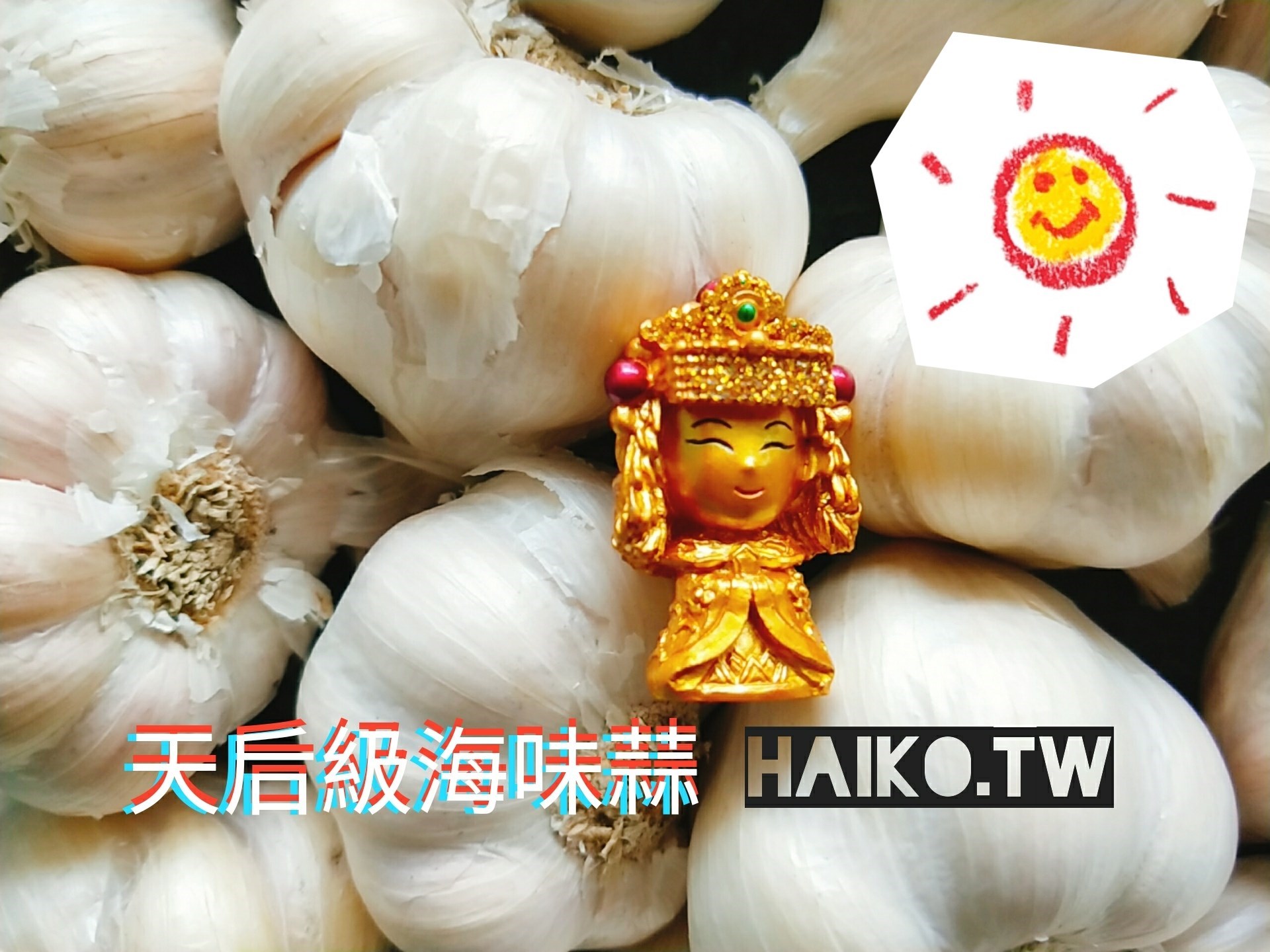 乾蒜球天后級
