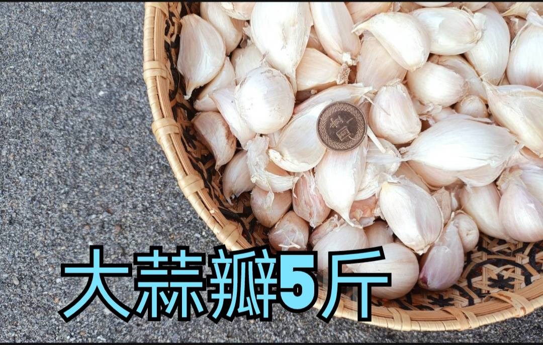 蒜瓣