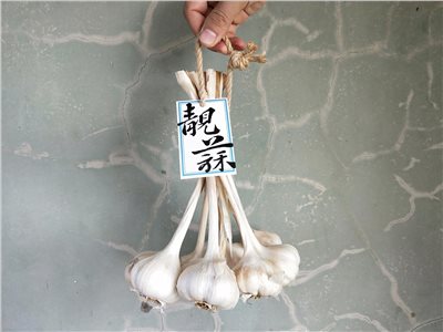靓蒜