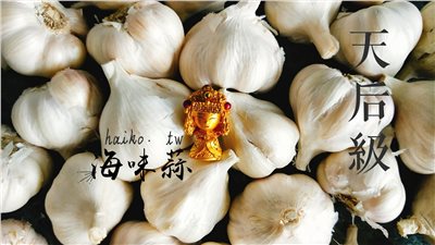 (2025新蒜預購)烘乾系列《天后級》乾蒜球海味蒜5斤裝