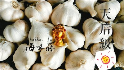(2025新蒜預購)陽光系列《天后級》乾蒜球海味蒜5斤裝