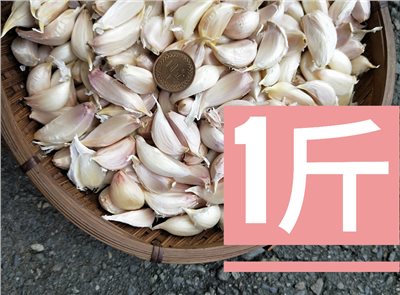 (2025新蒜預購)《小蒜米》1斤裝