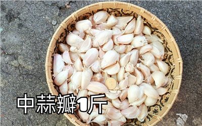 (2025新蒜預購)《中蒜瓣》 1斤裝