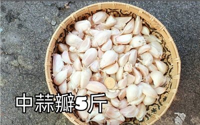 (2025新蒜預購)《中蒜瓣》5斤裝