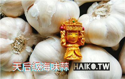 (2025新蒜預購)陽光系列《天后級》乾蒜球海味蒜1斤裝