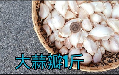 (2025新蒜預購)《大蒜瓣》 1斤裝