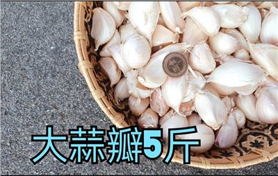 (2025新蒜預購)《大蒜瓣》 5斤裝
